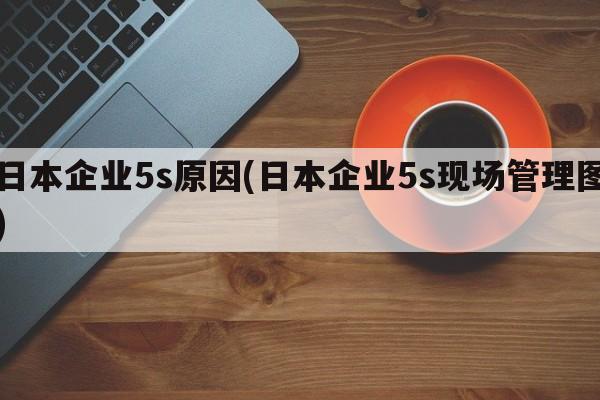 日本企业5s原因(日本企业5s现场管理图)